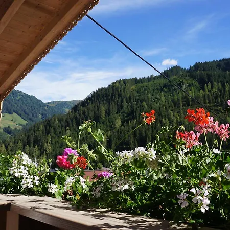 Haus Dorfblick